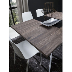 TABLE DE SALLE A MANGER RENZO