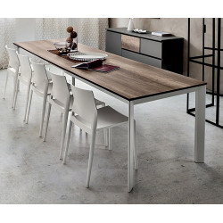 TABLE EXTENSIBLE MARIO