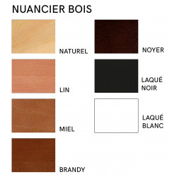 FAUTEUIL DE REALISATEUR PLIANT