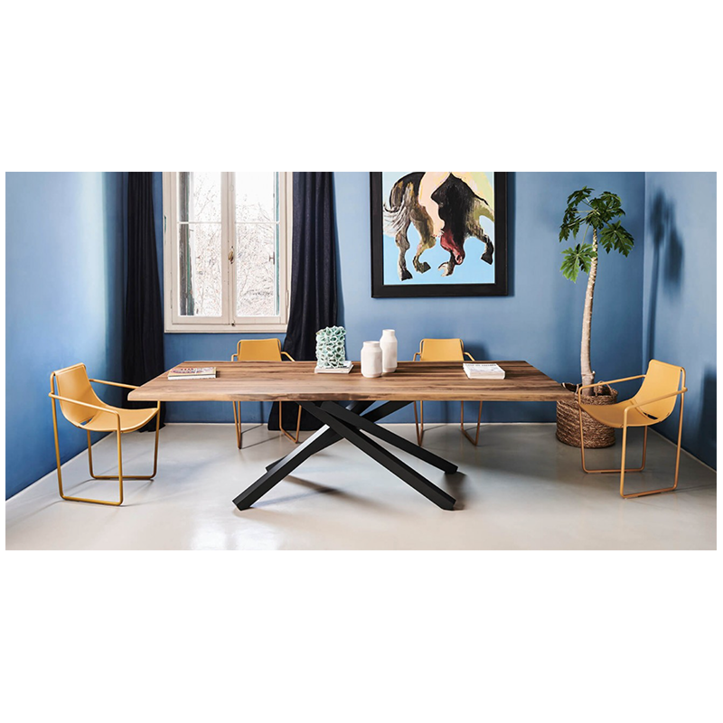 FAUTEUIL DE SALLE À MANGER EN CUIR DESIGN APELLE