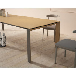 TABLE EN BOIS ET MÉTAL EXTENSIBLE CÉLIA